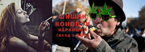 прущие грибы Богородицк