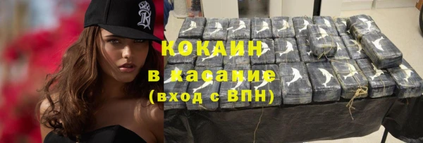 прущие грибы Богородицк