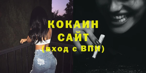прущие грибы Богородицк