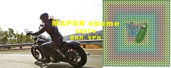 гашик Богданович