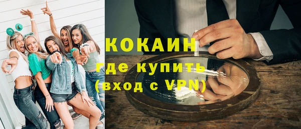 прущие грибы Богородицк