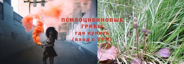 прущие грибы Богородицк