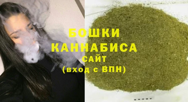 прущие грибы Богородицк