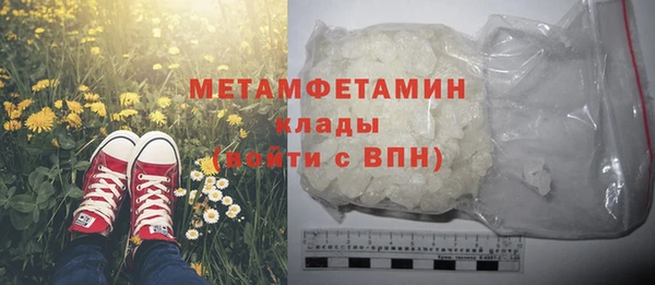 прущие грибы Богородицк