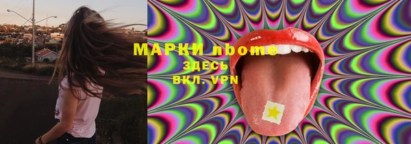 гашик Богданович